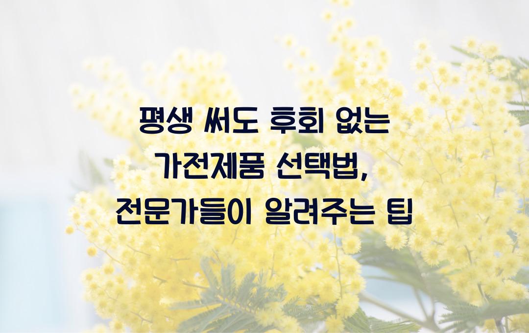 평생 써도 후회 없는 가전제품 선택법, 전문가들의 추천 기준