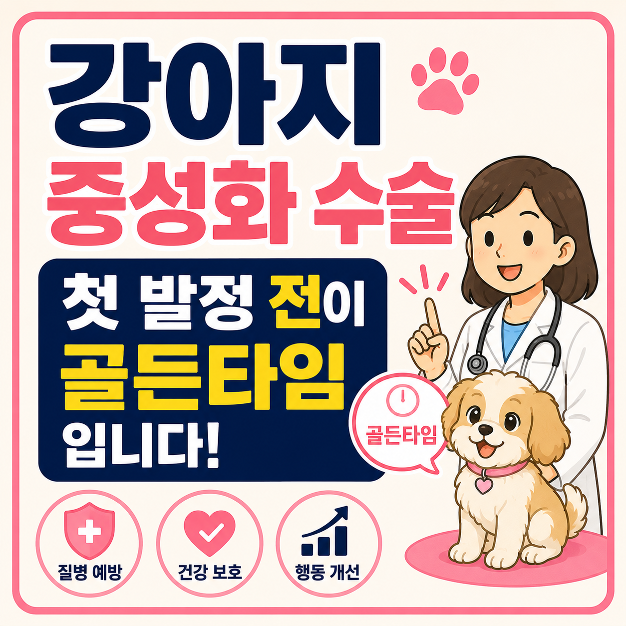 강아지 중성화 수술