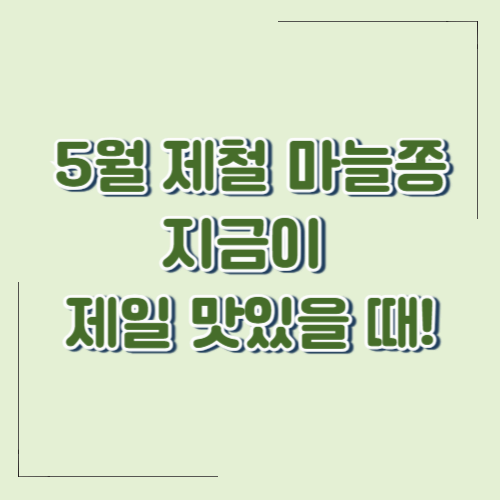 5월 제철 마늘쫑! 지금이 제일 맛있을 때, 제대로 즐기는 법