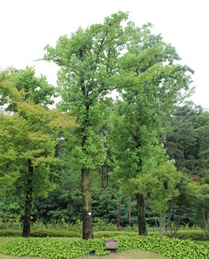 순천만 국가정원