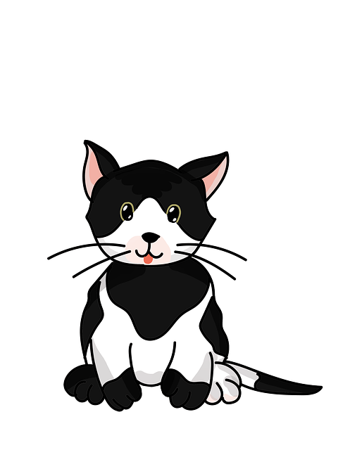 고양이 꿈 해몽 풀이(검은 고양이&amp;#44; 새끼고양이&amp;#44; 죽은 고양이 꿈 해몽&amp;#44; 무료꿈해몽풀이)