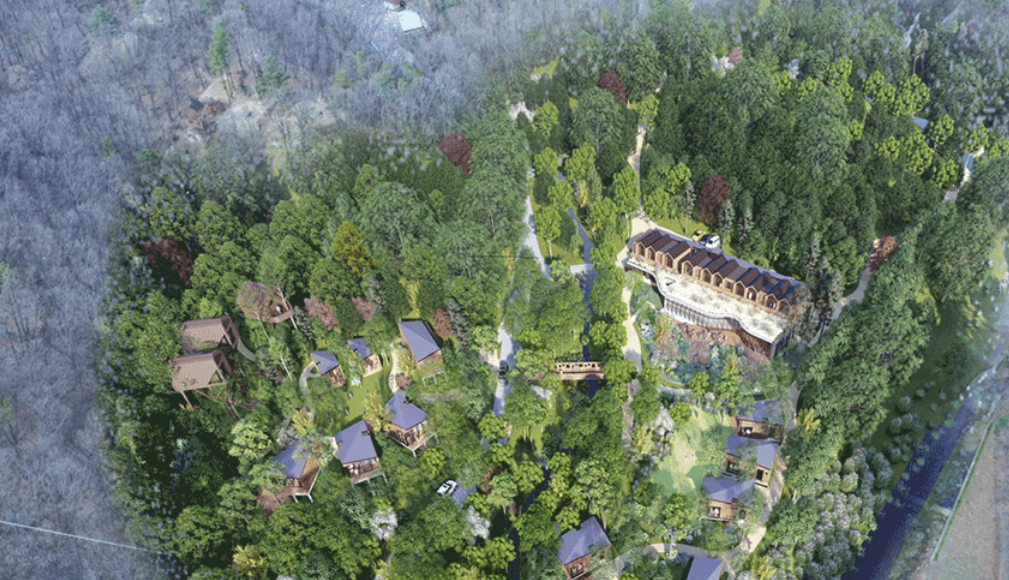 seoul-forest-retreat-travel