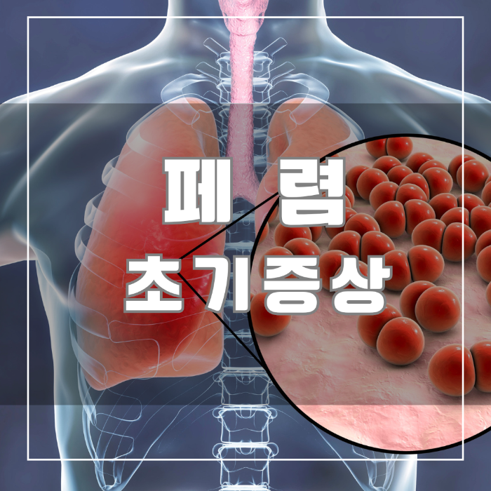 폐렴초기증상