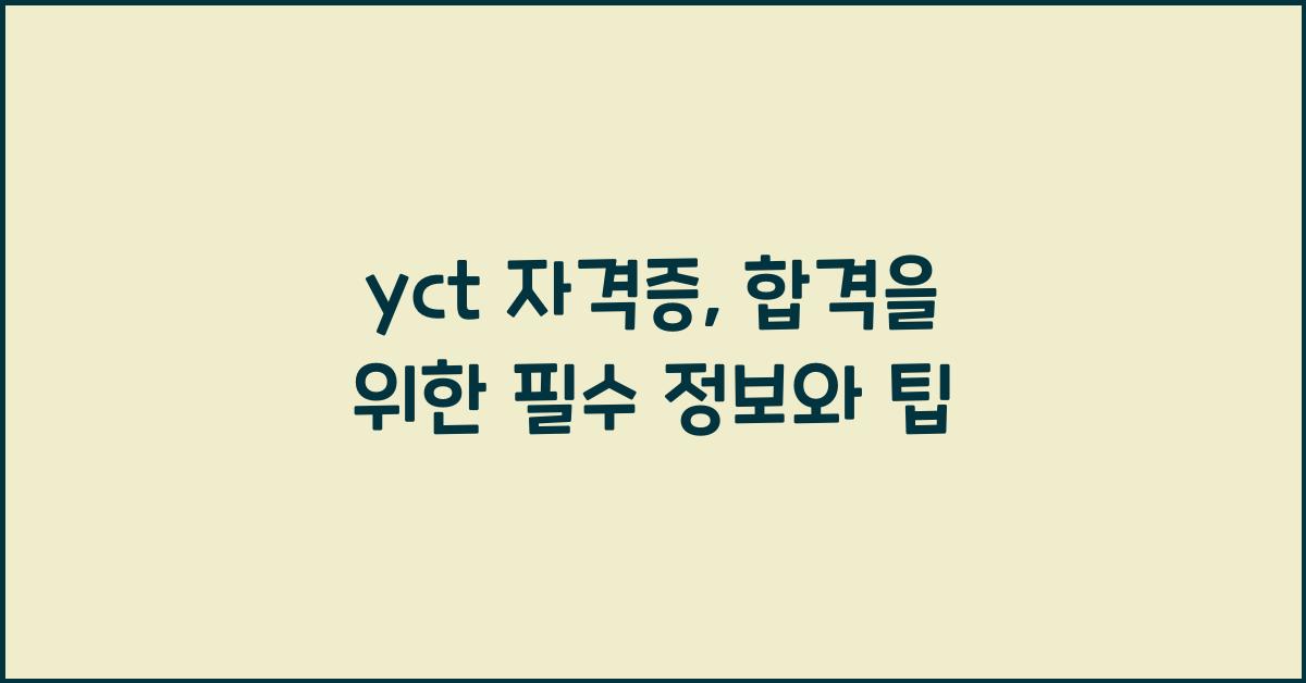 yct 자격증