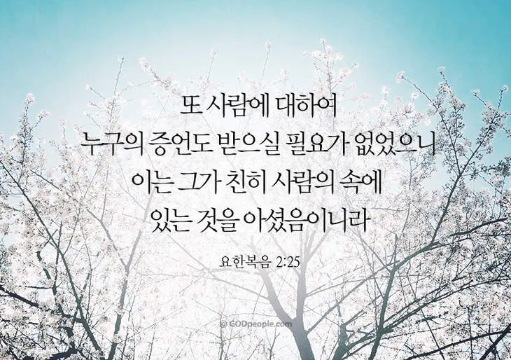 요한복음 20장 성경 말씀 묵상_2
