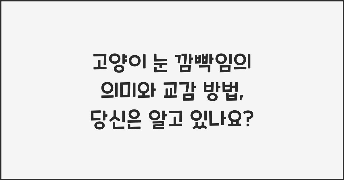 고양이 눈 깜빡임의 의미와 교감 방법