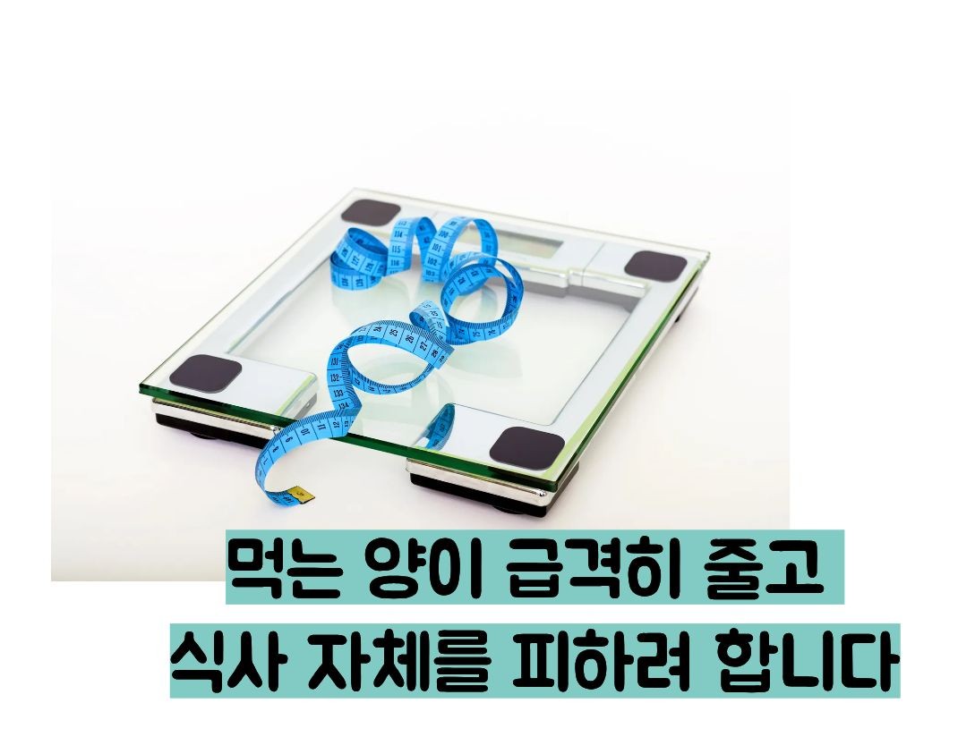 거식증 초기증상