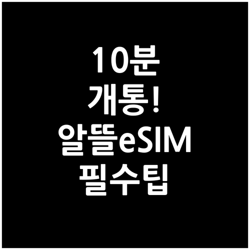 알뜰폰 eSIM 10분 개통 후기와 ..