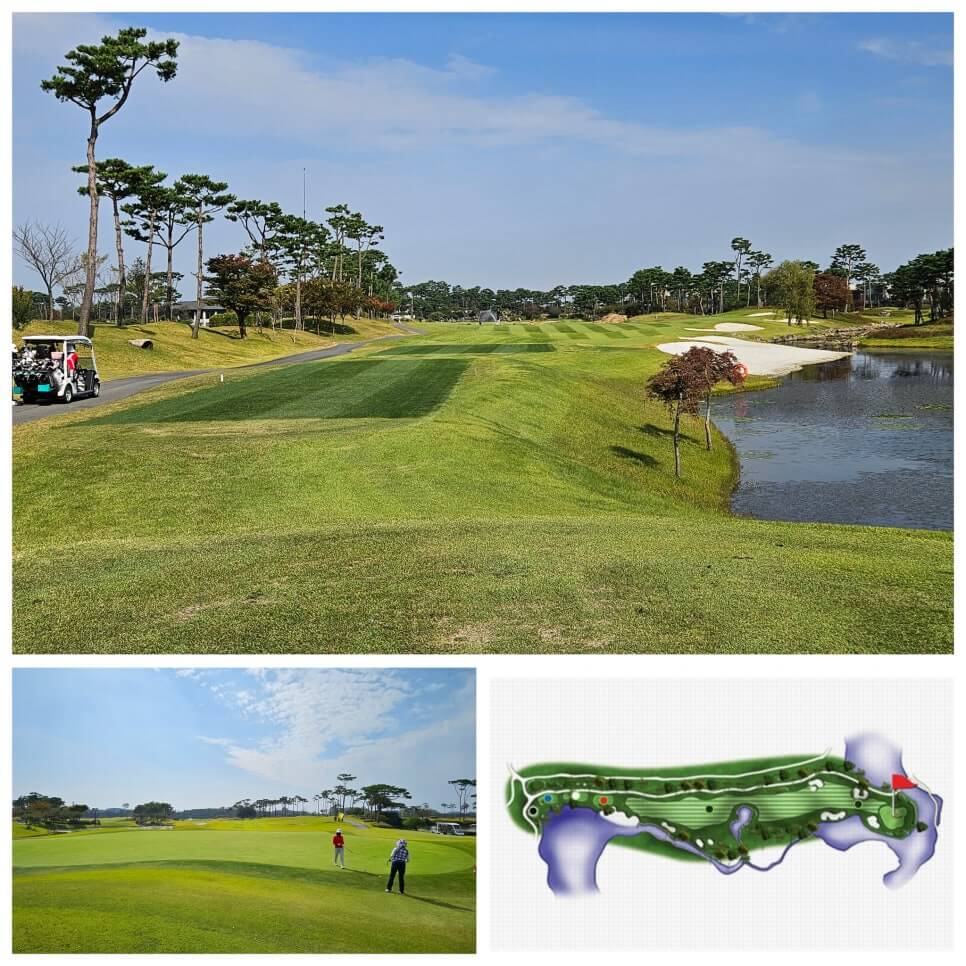골프장 경험담 당진 파인스톤cc 대형 멋진 정원에서 환상의 골프 운동
