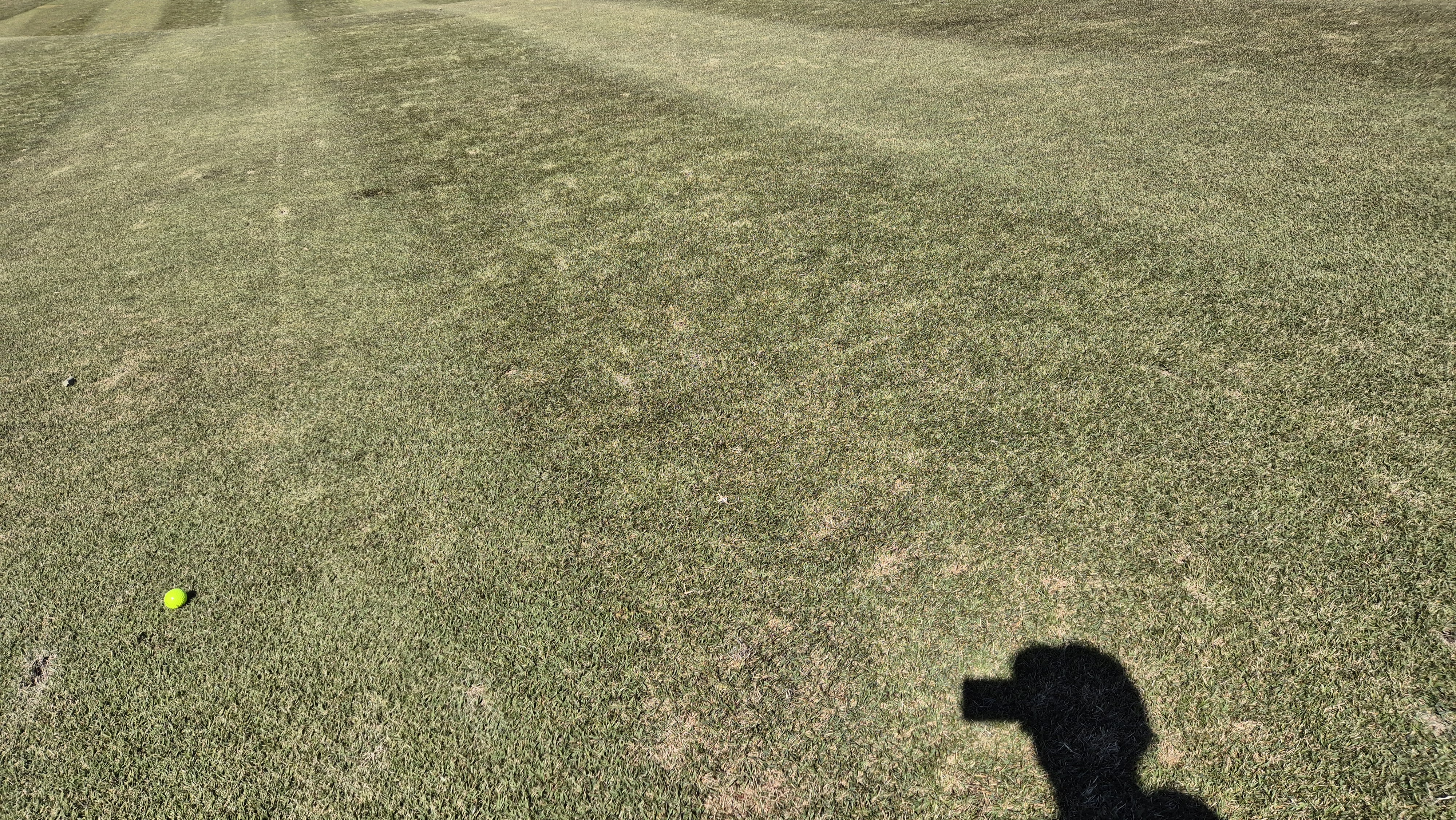 동촌gc 코스 관리 상태