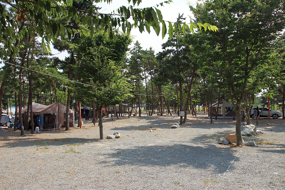 어은돌송림캠핑장