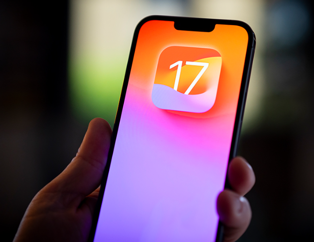 17.0.3 iso17