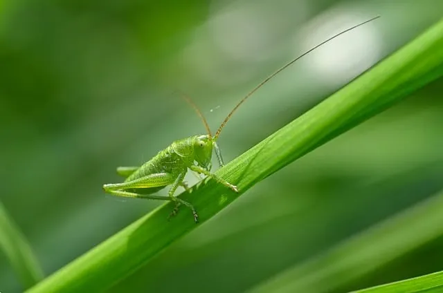 화성 고대 생명체 NASA 최신 발표 정리_2