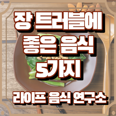 장 트러블때 좋은 음식 5가지