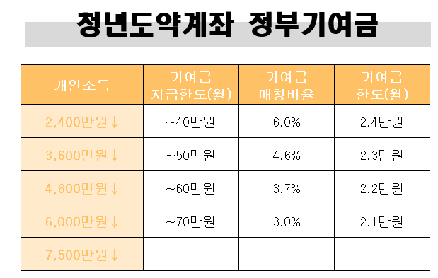 청년도약계좌 정부기여금