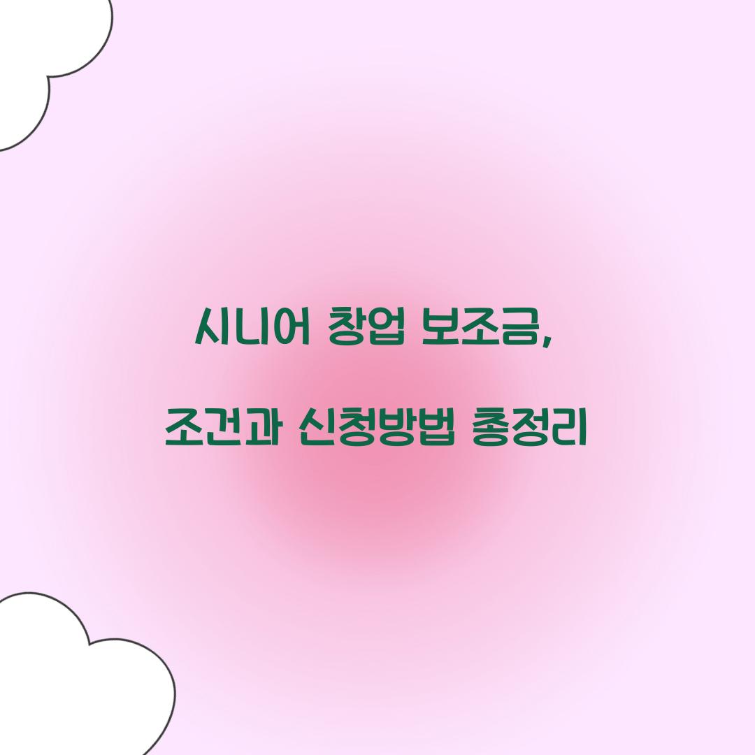 시니어 창업 보조금