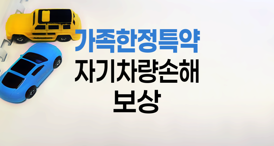 삼성화재 자동차보험의 가족한정 특약과 자기차량손해 보상