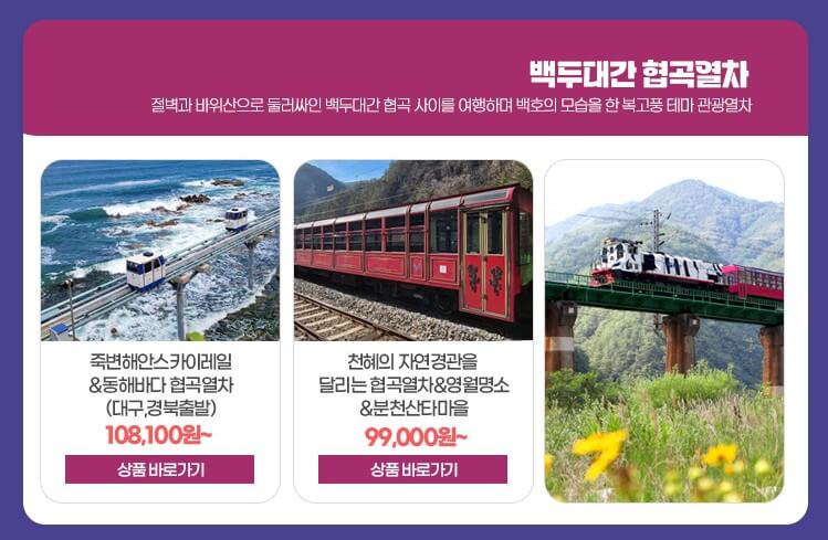 백두대간-협곡열차-관광상품