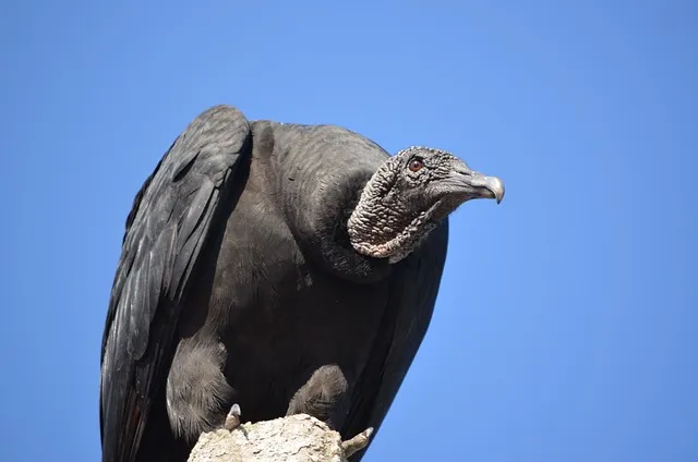 주택 아파트 양도세율표 최신 기준 안내_2