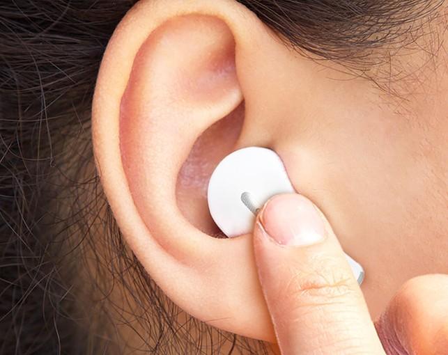 블라우풍트 이어폰