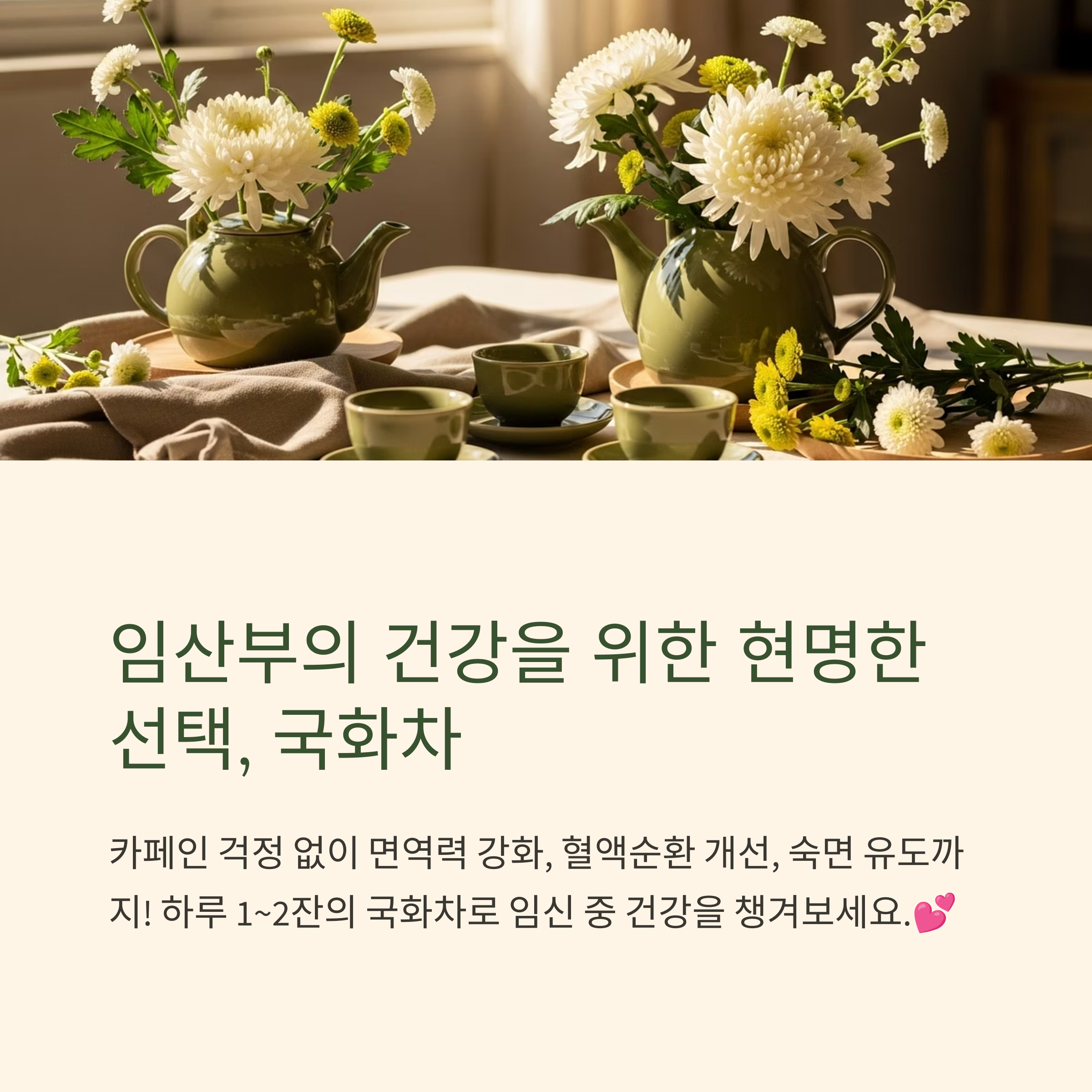 임산부의 건강을 위한 현명한 선택, 국화차