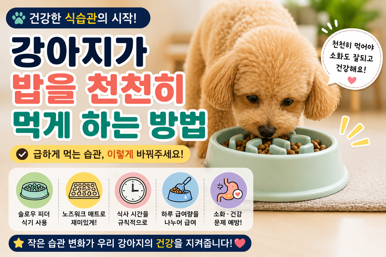 강아지가 밥을 천천히 먹게 하는 방법|급하게 먹는 습관, 어떻게 고칠 수 있을까?