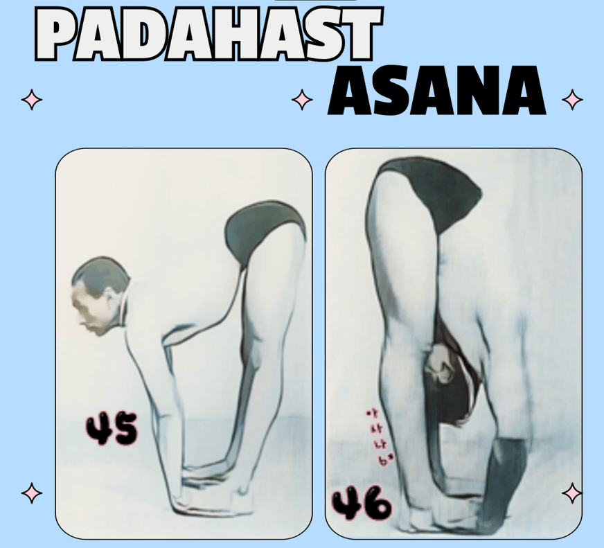 파다하스타아사나
