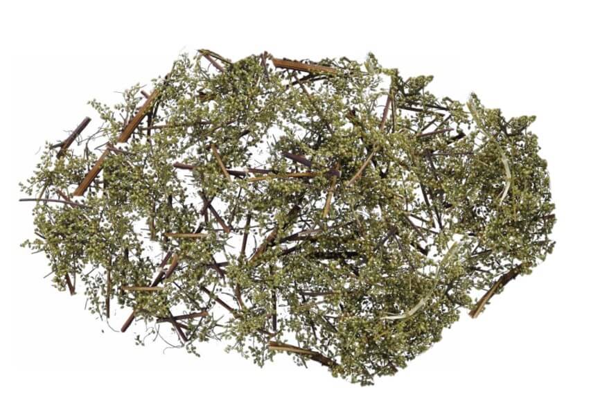 인진호(茵蔯蒿)