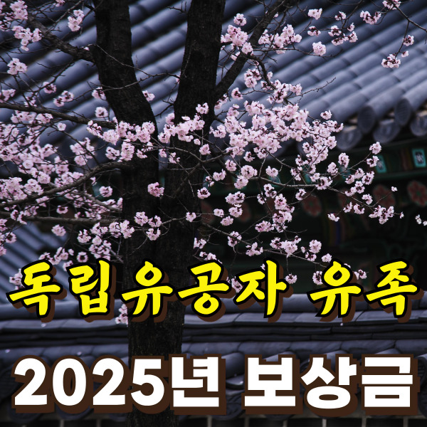 무궁화나무 사진이에요.