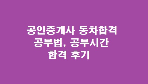 공인중개사 동차 합격