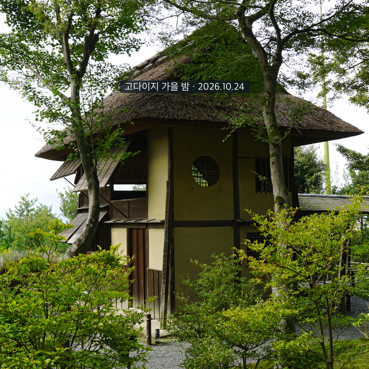 2017년 낮에 촬영한 교토 고다이지 시구레테이와 초록 나무, 고다이지 가을 밤&middot;2026.10.24 문구