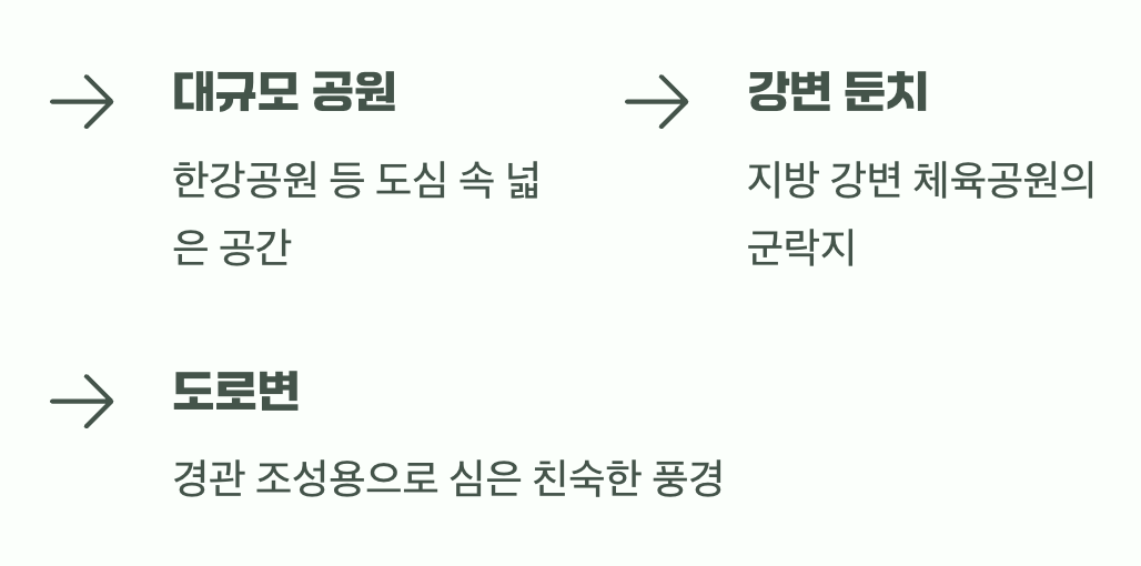 어디서 이 춤을 만날 수 있을까?