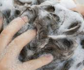 탈모 해결-카페인 함유 샴푸- 효과