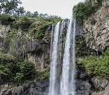 ISFP 유형 특징 분석