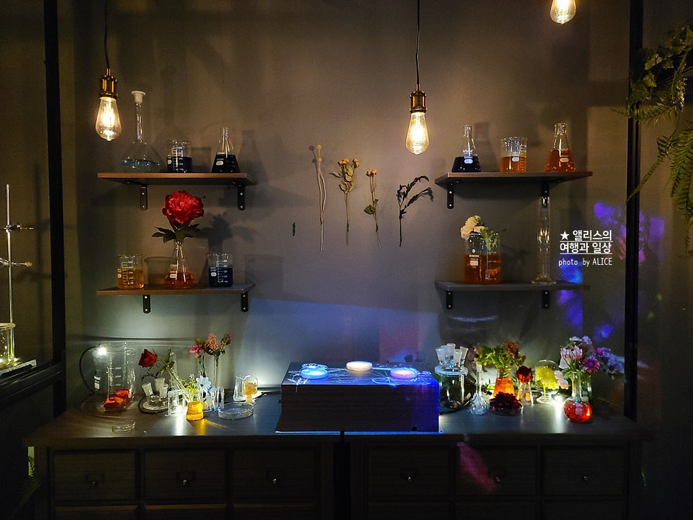 플라워바이네이키드 홍대 놀거리 입장료 23% 할인예매방법, 즐기는 꿀팁 네가지