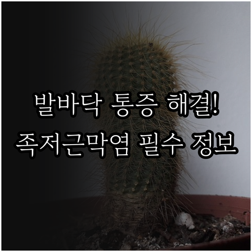 발바닥 통증 해결하는 족저근막염 증상..