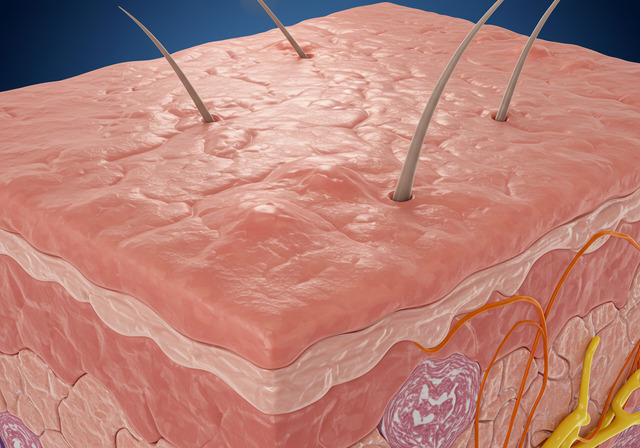 노인성 피부 가려움증의 원인