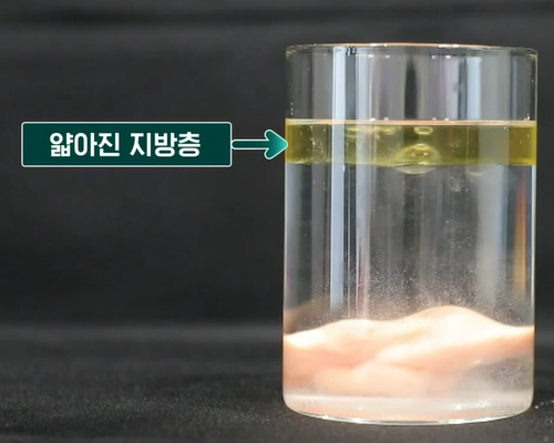 락토페린 효능