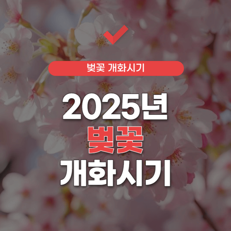 2025년-벚꽃-개화시기-썸네일