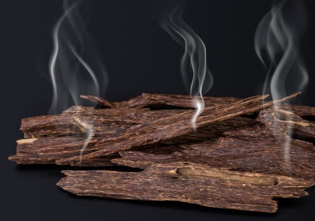 베트남 침향환 효능