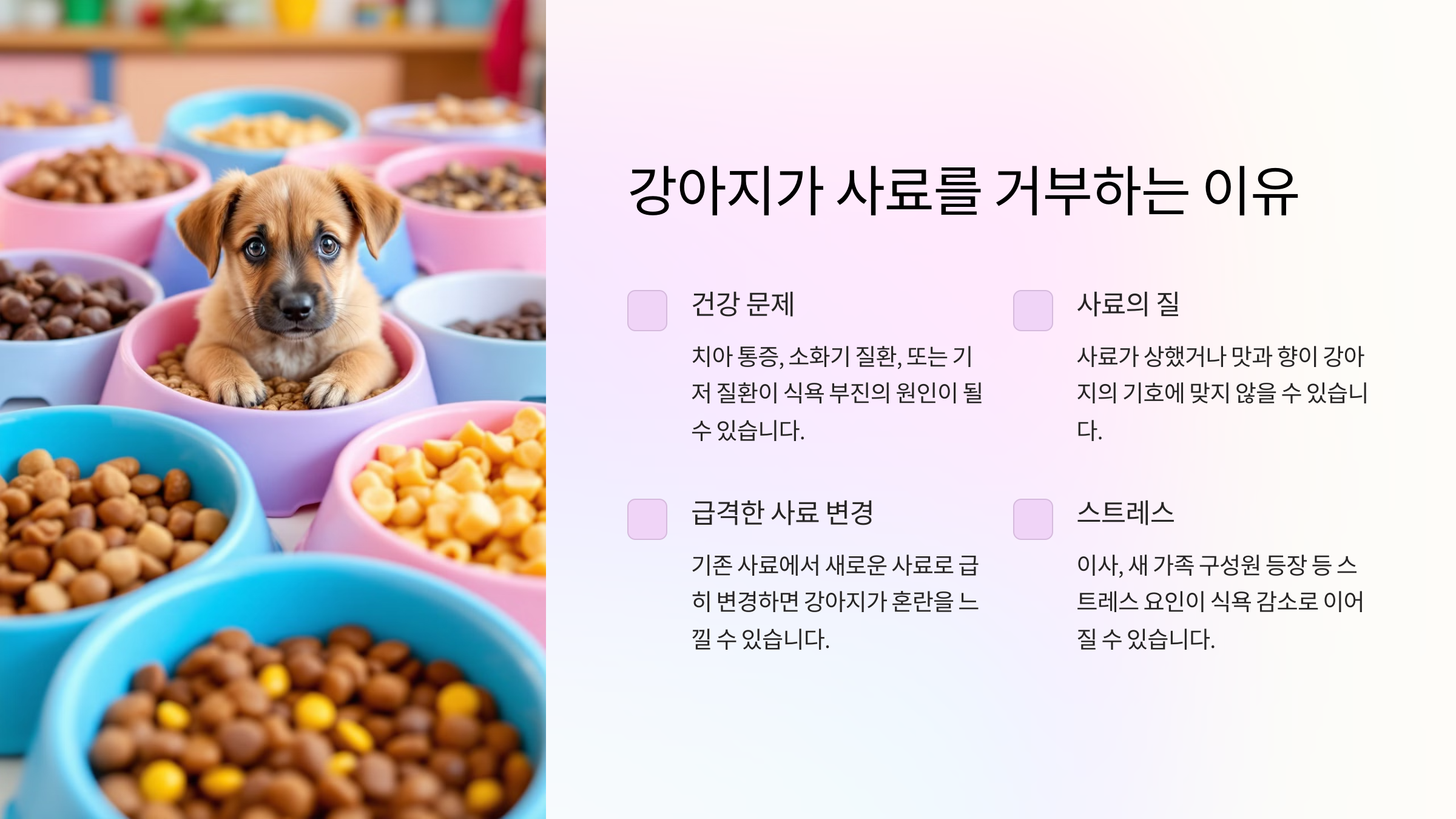 강아지가 사료를 거부하는 이유