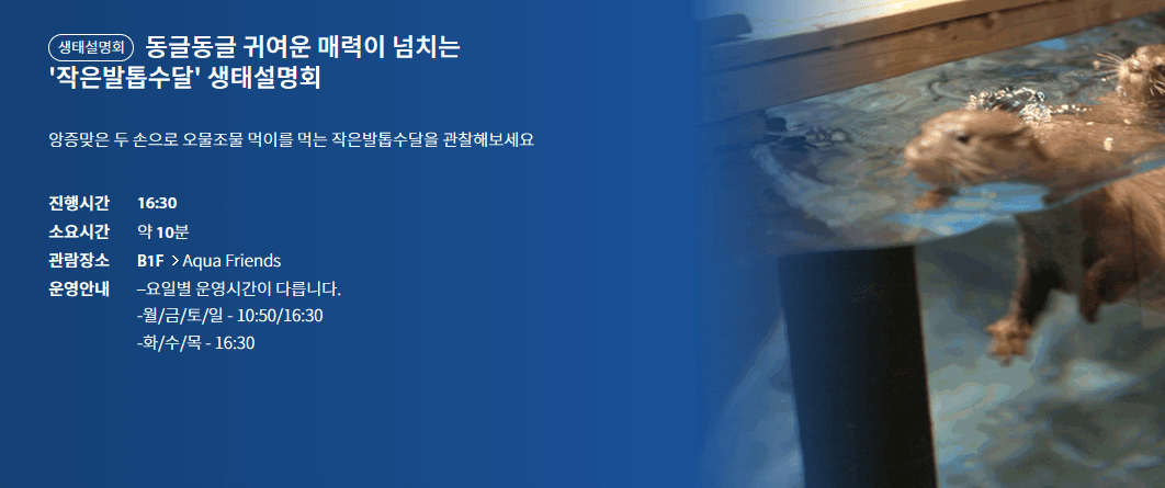 공교 아쿠아플라넷
