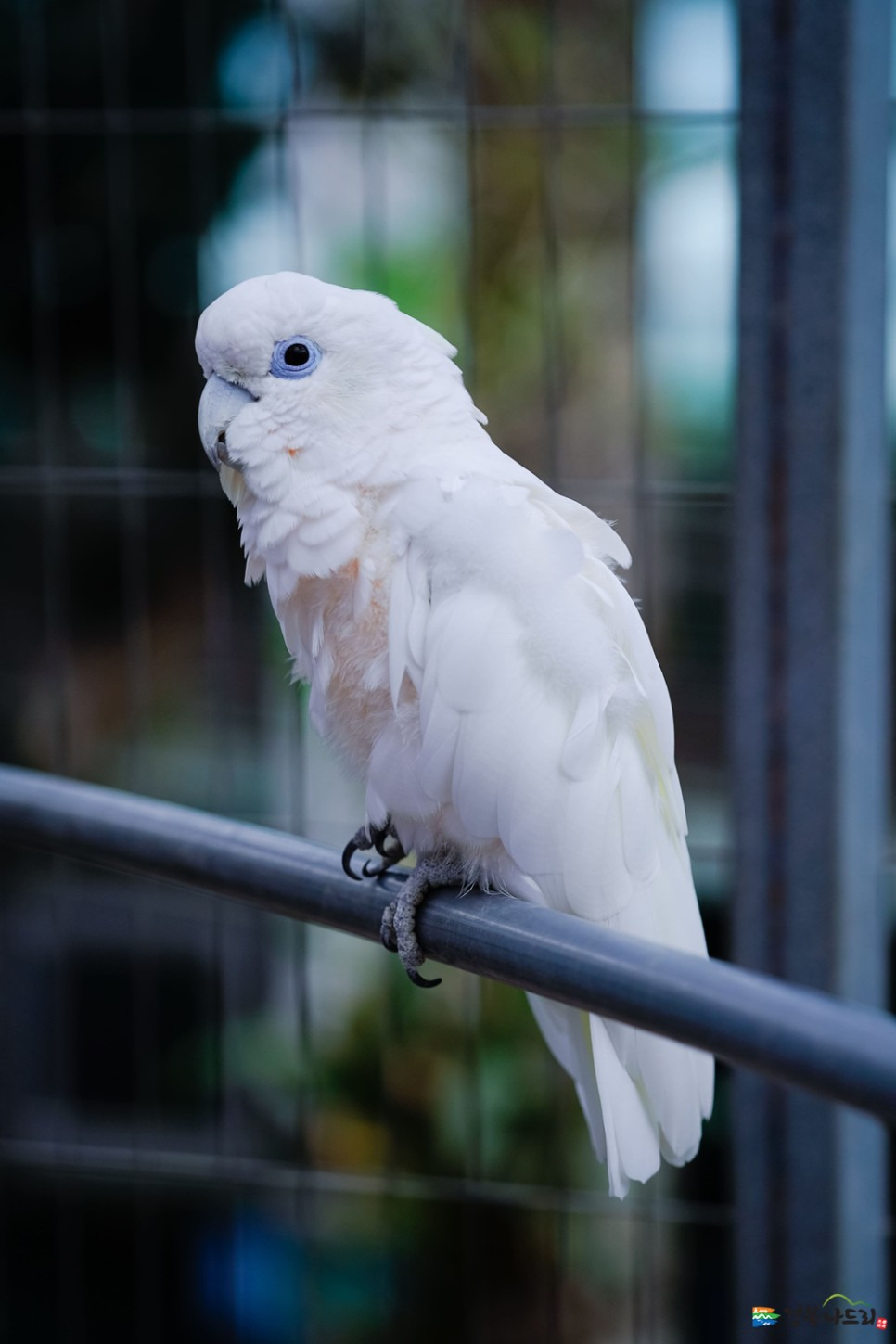 경주 주간 여행코스 | 쾌적한 실내 테마파크와 박물관