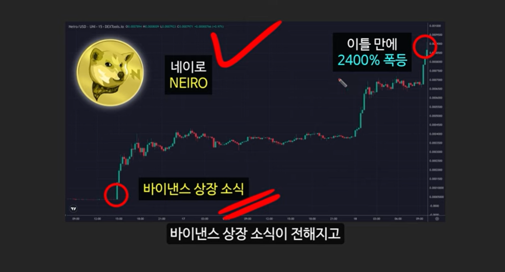 베이비 도지 코인의 급등 이유와 일론 머스크의 영향 ❘ 밈 코인 시장 전망