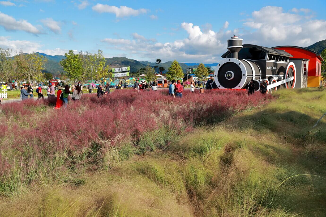 곡성기차마을 세계 장미축제