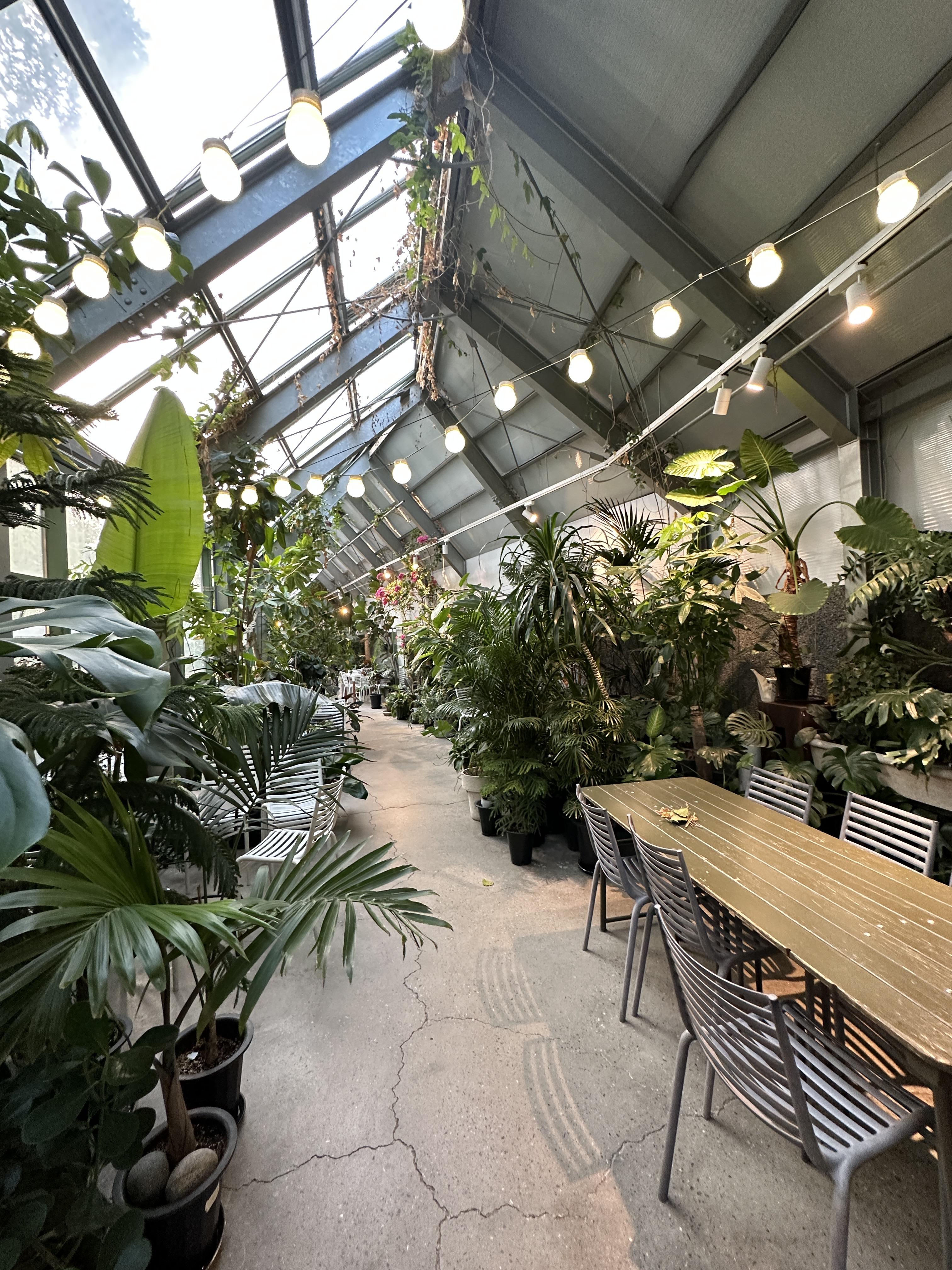 마이알레 / 마이알레빌리지 / 과천마이알레 / 시아지오대디