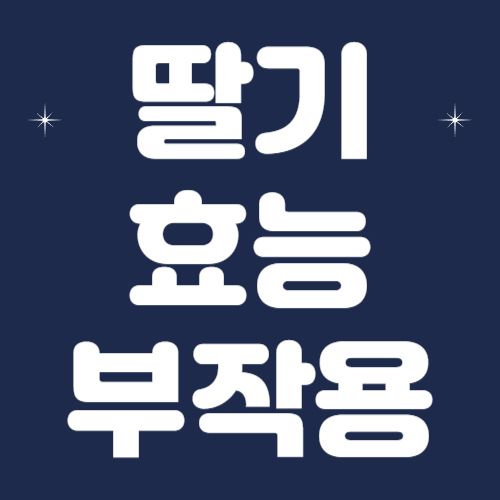 딸기-효능-부작용