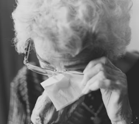 당귀 효능 부작용 뿌리 고르는법