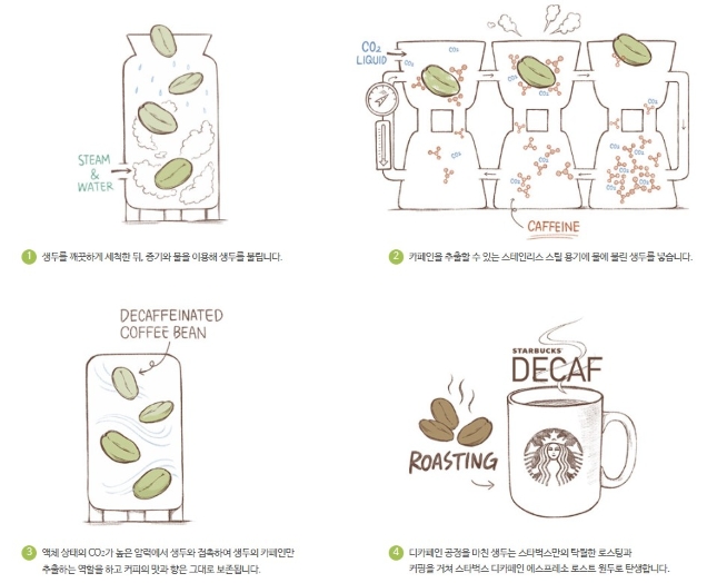 스타벅스의 카페인 추출 방식.