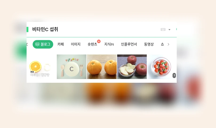 비타민C 섭취_1_subsection